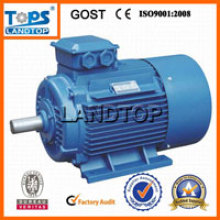 TOPS Y2 Serie AC Motor hoher Drehzahl Y2 Motor